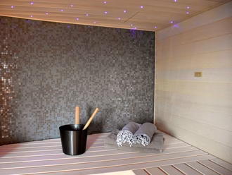 elegance-saunain-espe-scharfkantig (8)